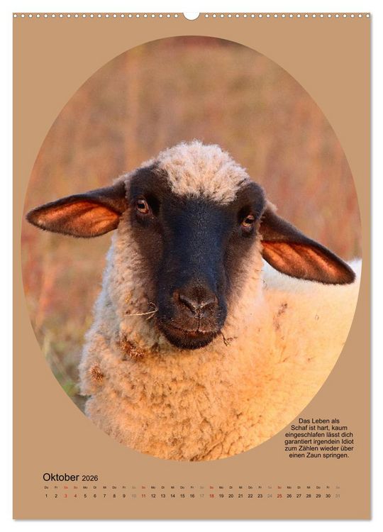 Produktbild: Scharfe Portraits (Wandkalender 2026 DIN A2 hoch), CALVENDO Monatskalender