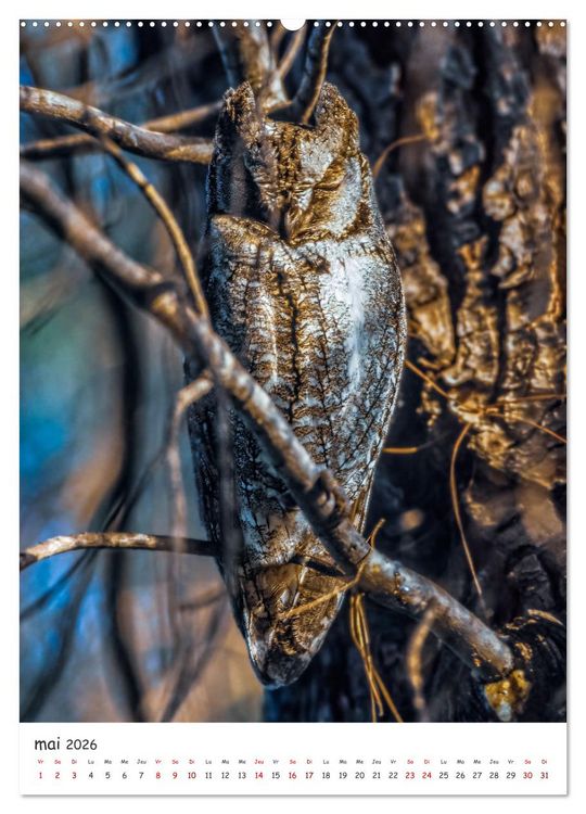 Produktbild: Une vie de hibou les oiseaux (Calendrier mural 2026 DIN A2 horizontal) calendrier de bureau