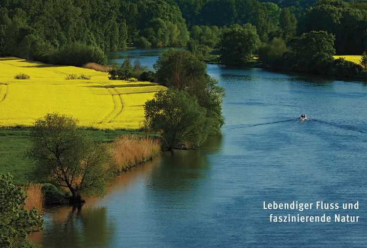 Produktbild: Der Saalekreis