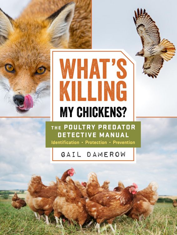 Produktbild: What's Killing My Chickens?