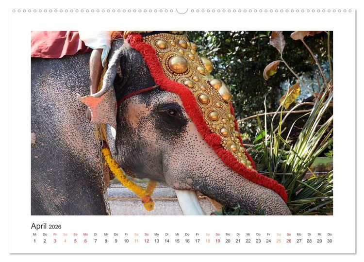 Produktbild: Kerala - Im S&uuml;den Indiens (hochwertiger Premium Wandkalender 2026 DIN A2 quer), Kunstdruck in Hochglanz