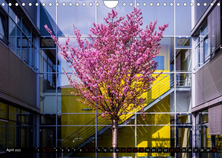 Produktbild: Erlangen - Meine Art zu sehen (Wandkalender 2022 DIN A4 quer)