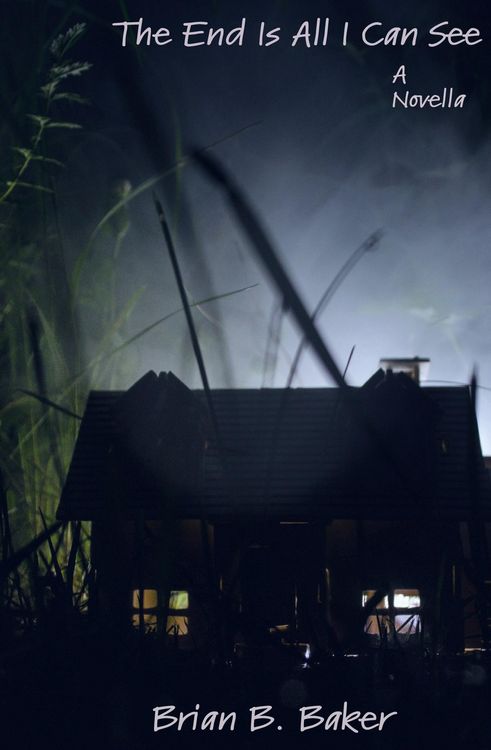 Produktbild: The End Is All I Can See