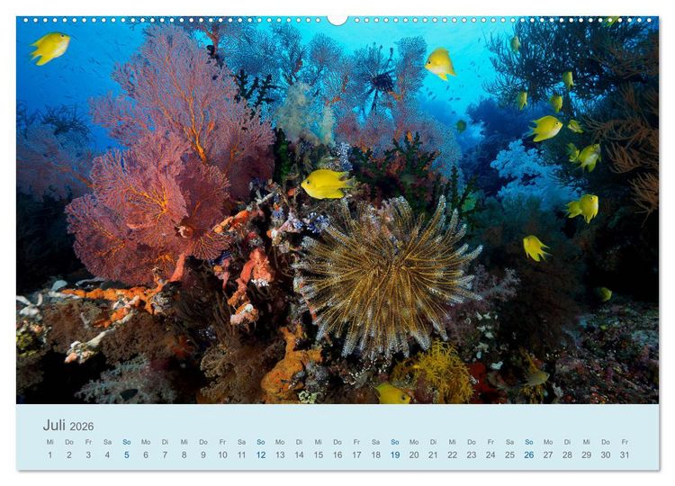 Produktbild: Abenteuer Unterwasser (Wandkalender 2026 DIN A2 quer), CALVENDO Monatskalender