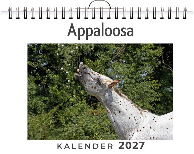 Produktbild: Appaloosa