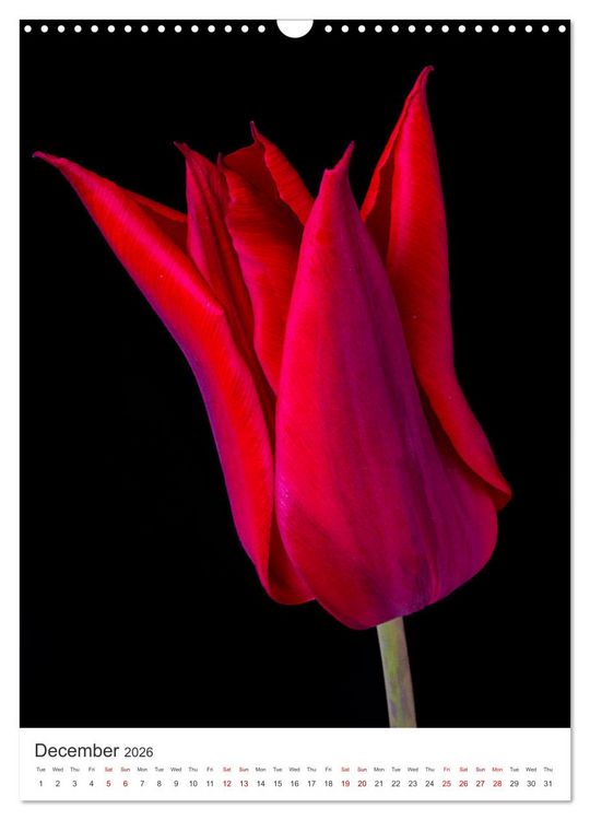 Produktbild: Springtime in my garden (Wall Calendar 2026 DIN A3 portrait), CALVENDO 12 Month Wall Calendar
