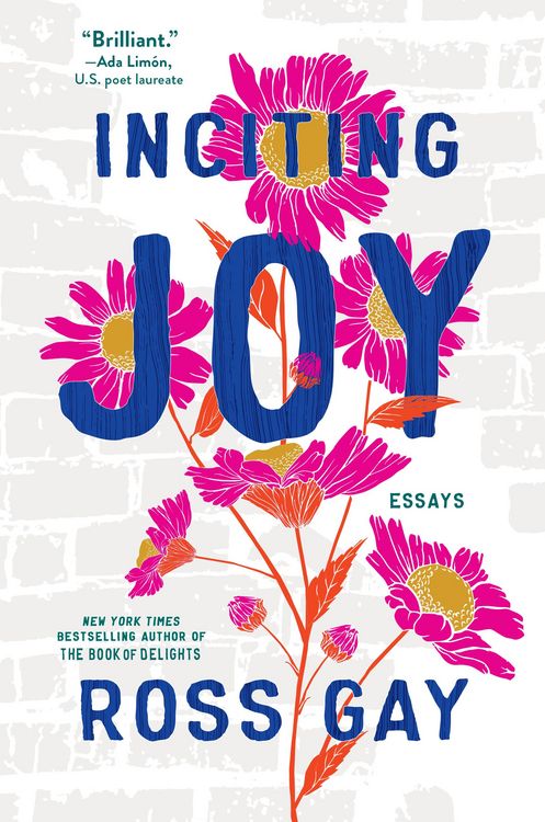 Produktbild: Inciting Joy