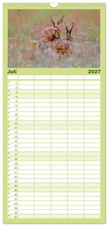 Produktbild: Familienplaner 2027 - Feldhasen in H&ouml;chstform mit 5 Spalten (Wandkalender, 21 x 45 cm) CALVENDO