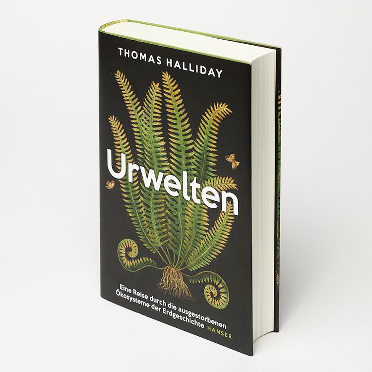 Produktbild: Urwelten