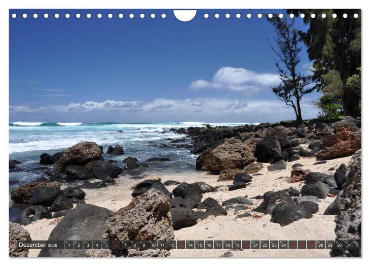 Produktbild: Ich will Meer ! (Wandkalender 2026 DIN A4 quer), CALVENDO Monatskalender
