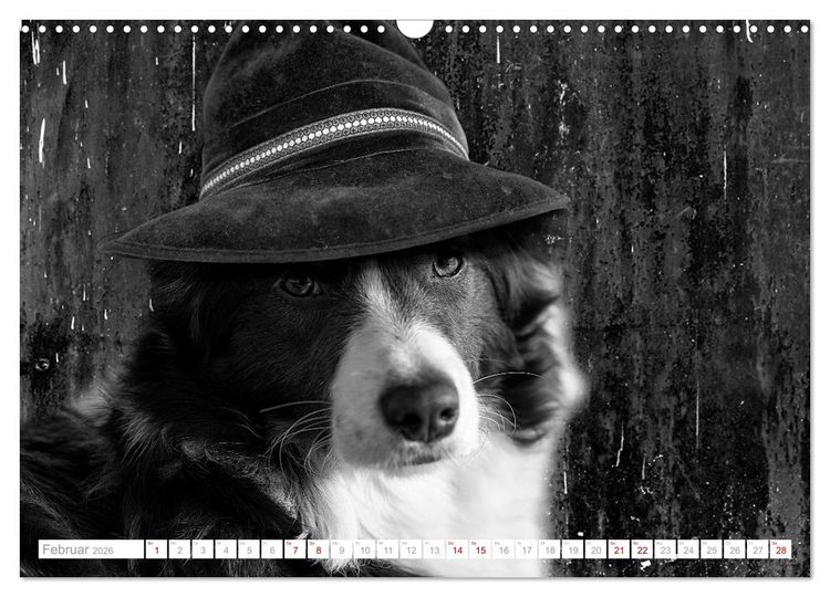 Produktbild: Hund tr&auml;gt Hut (Wandkalender 2026 DIN A3 quer), CALVENDO Monatskalender