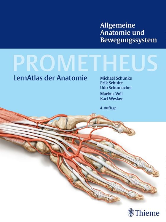 Produktbild: PROMETHEUS Allgemeine Anatomie und Bewegungssystem