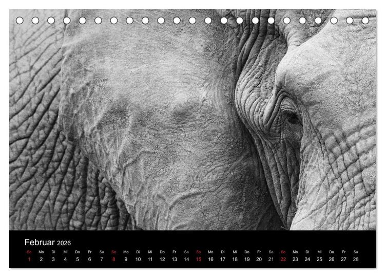 Produktbild: Elefanten Schwarz - Weiss (Tischkalender 2026 DIN A5 quer), CALVENDO Monatskalender