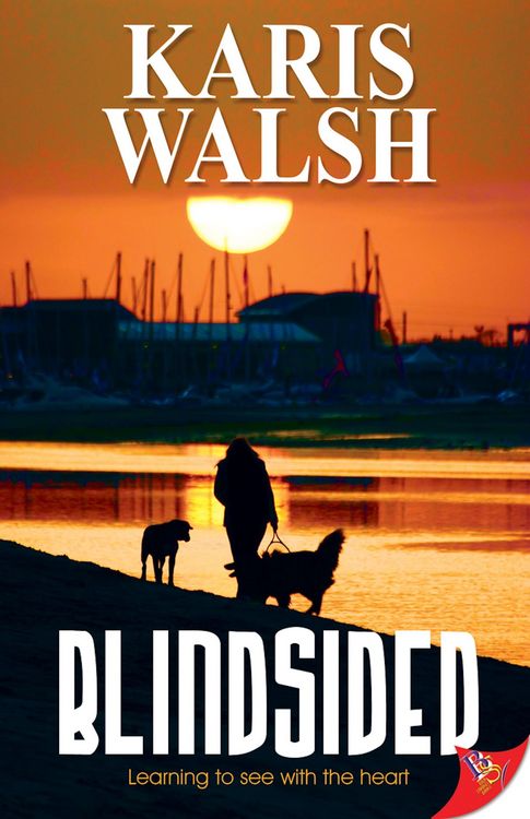 Produktbild: Blindsided