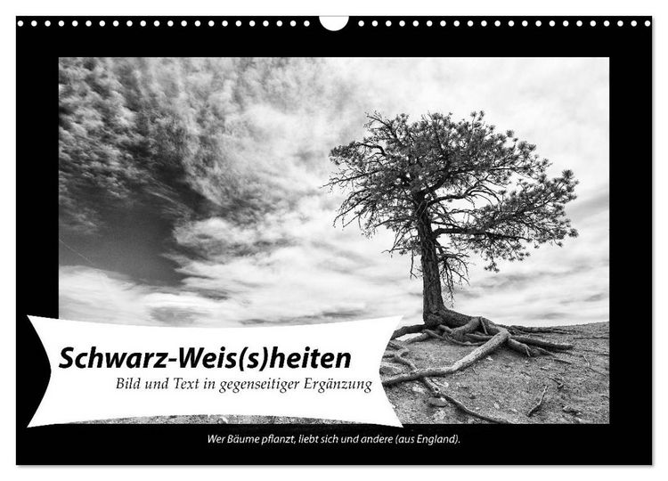 Produktbild: Schwarz-Weis(s)heiten (Wandkalender 2026 DIN A3 quer), CALVENDO Monatskalender