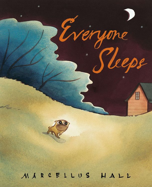 Produktbild: Everyone Sleeps