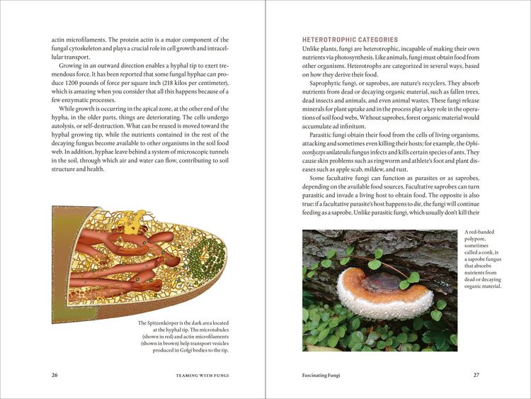 Produktbild: Teaming with Fungi