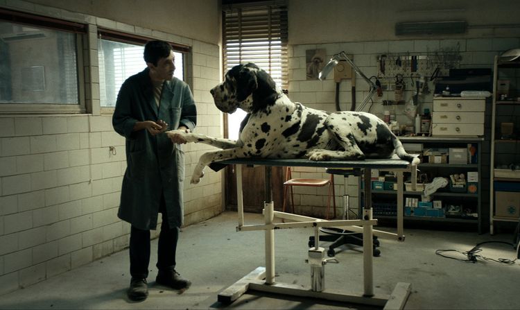 Produktbild: Dogman - Cover B