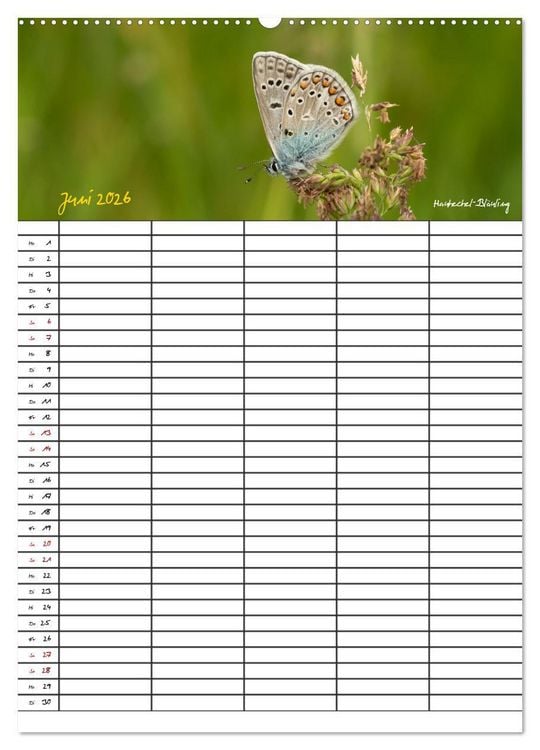 Produktbild: Schmetterlinge in Bayern (hochwertiger Premium Wandkalender 2026 DIN A2 hoch), Kunstdruck in Hochglanz