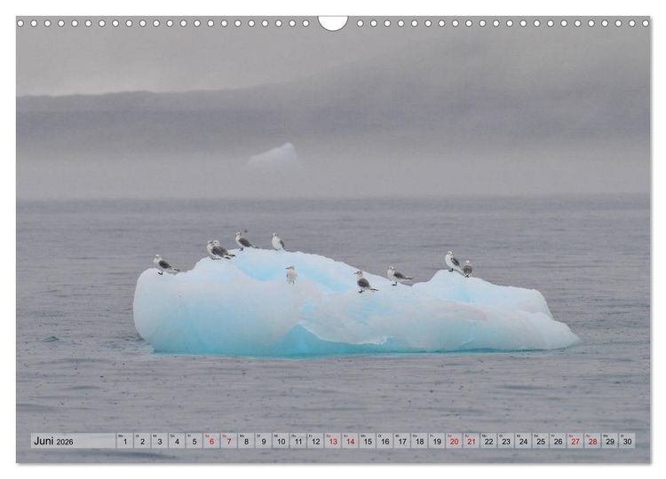 Produktbild: Gr&ouml;nland: Eisberge in der Disko Bucht (Wandkalender 2026 DIN A3 quer), CALVENDO Monatskalender