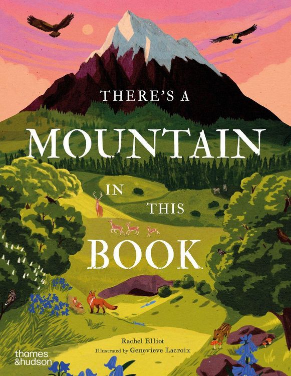 Produktbild: There's a Mountain in This Book