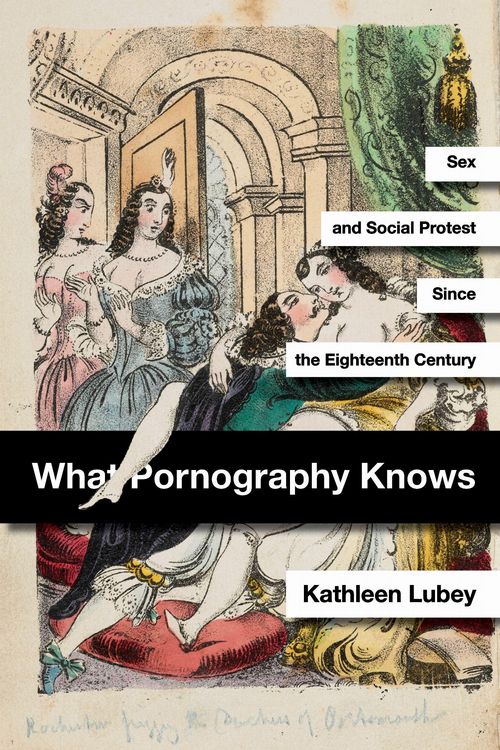 Produktbild: What Pornography Knows