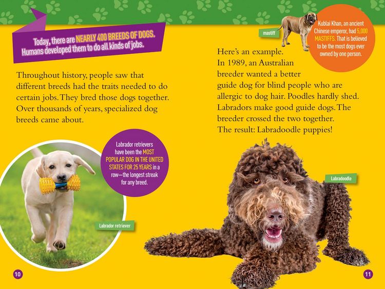 Produktbild: Woof! (National Geographic Kids Readers, Level 3/Fact Reader)