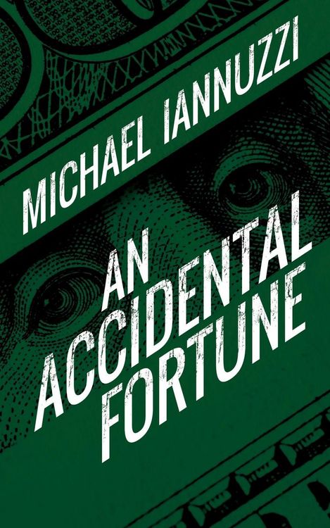 Produktbild: An Accidental Fortune