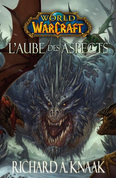 Produktbild: World of Warcraft - L'aube des aspects