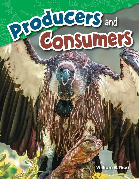 Produktbild: Producers and Consumers
