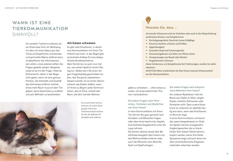 Produktbild: Was will mir meine Katze sagen?