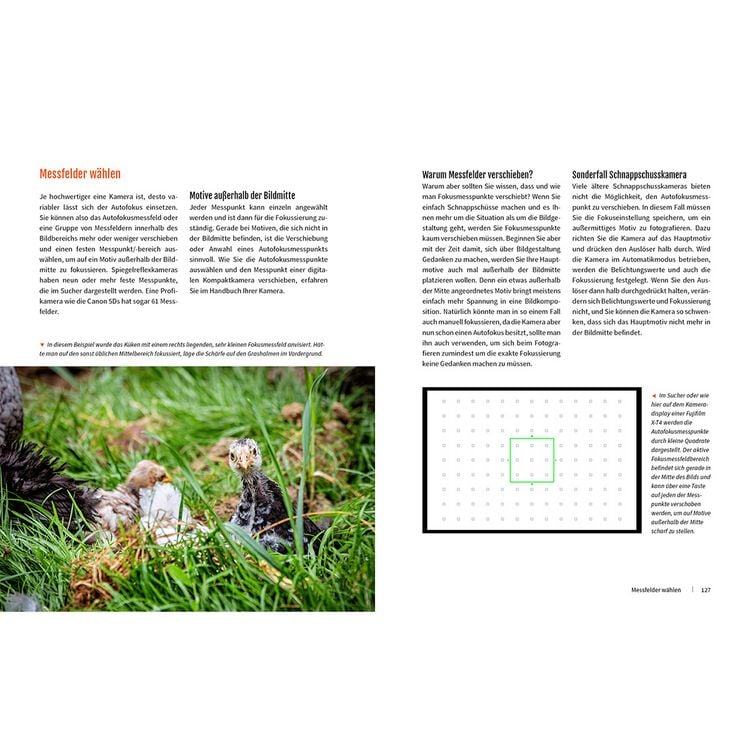 Produktbild: Fotografieren - Die gro&szlig;e Fotoschule f&uuml;r Einsteiger