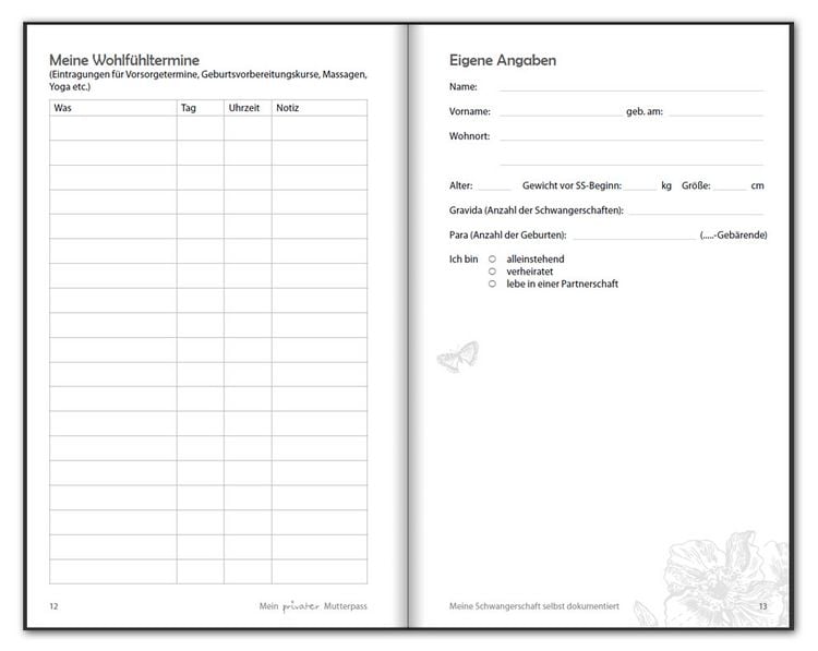 Produktbild: Mein privater Mutterpass - Meine Schwangerschaft selbst dokumentiert