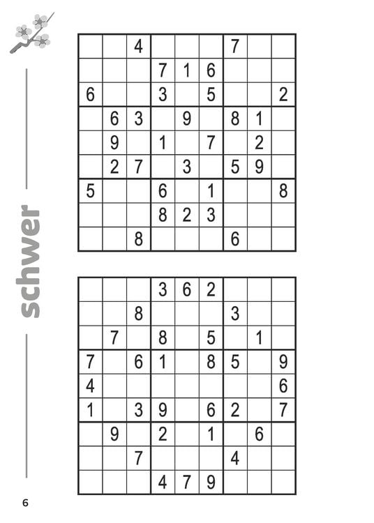 Produktbild: Maxi-Buch Sudoku Band 9