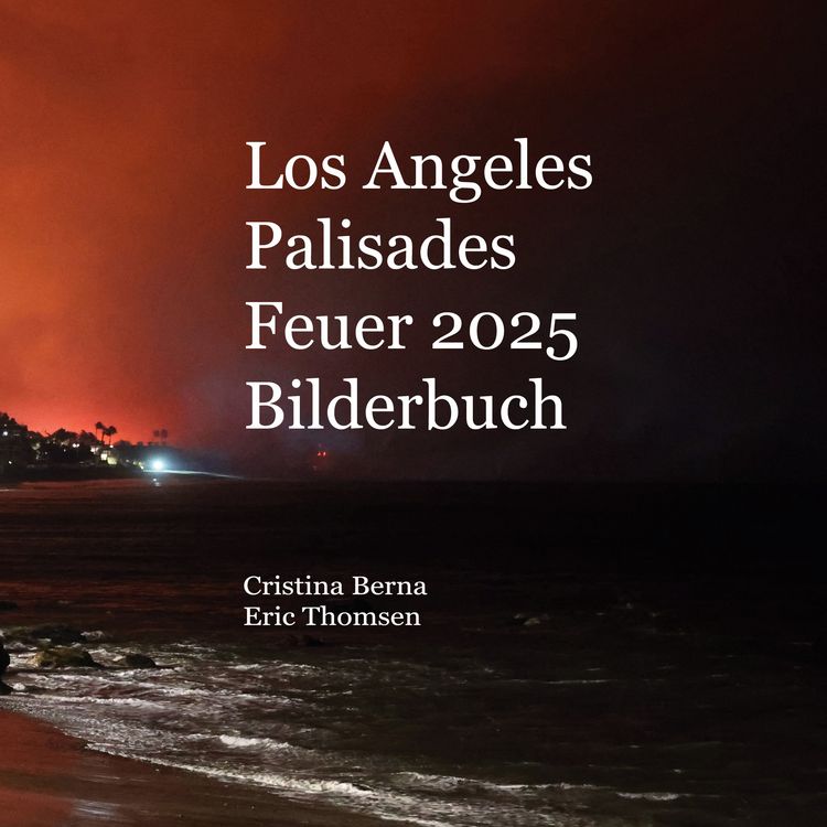 Produktbild: Los Angeles Palisades Feuer 2025 Bilderbuch