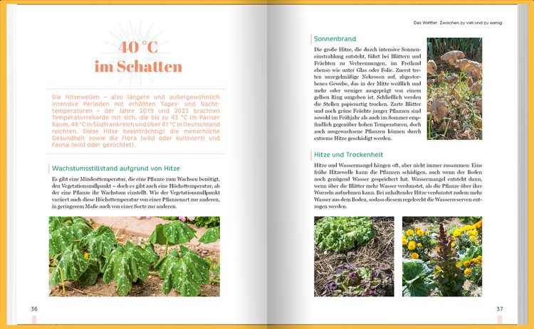 Produktbild: Erntewunder trotz Wetterchaos