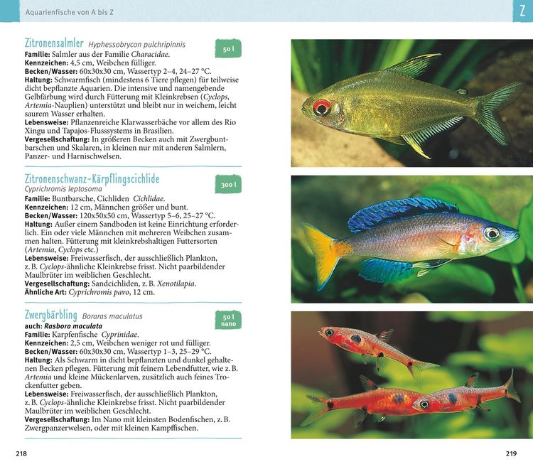 Aquarienfische von A bis Z