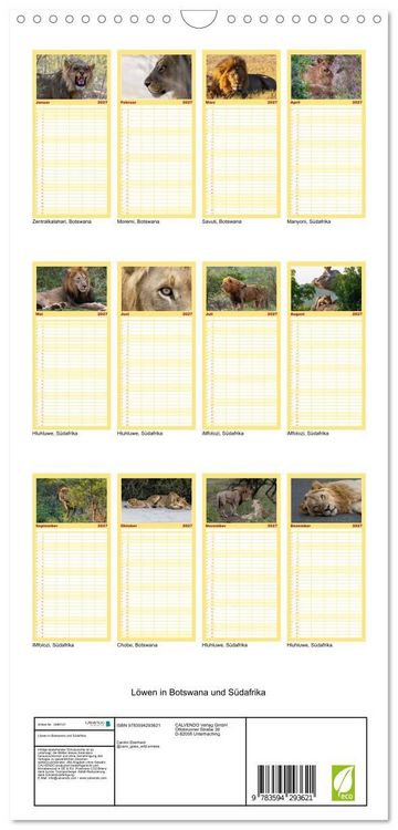 Produktbild: Familienplaner 2027 - L&ouml;wen in Botswana und S&uuml;dafrika mit 5 Spalten (Wandkalender, 21 x 45 cm) CALVENDO