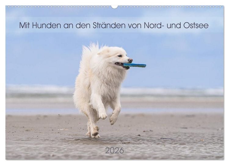 Produktbild: Mit Hunden an den Str&auml;nden von Nord- und Ostsee (Wandkalender 2026 DIN A2 quer), CALVENDO Monatskalender