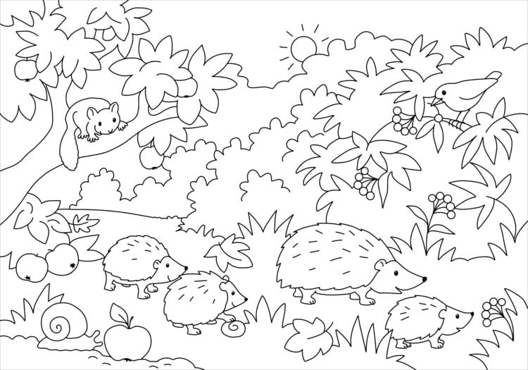 Produktbild: Mein sch&ouml;nstes Malbuch. Wald und Wiese