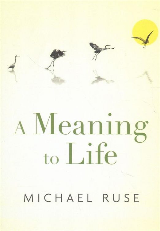 Produktbild: A Meaning to Life