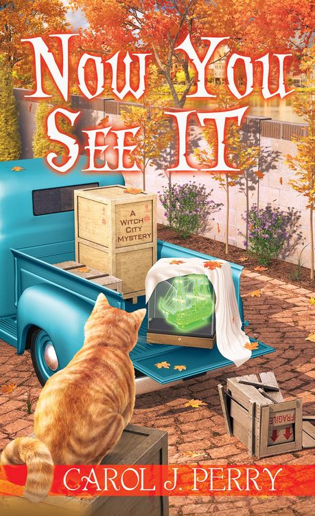 Produktbild: Now You See It