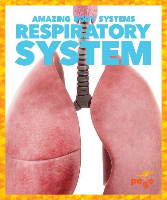 Produktbild: Respiratory System