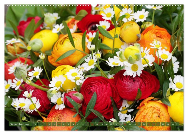 Produktbild: Blumen - Eine bunte Mischung (Wandkalender 2026 DIN A2 quer), CALVENDO Monatskalender