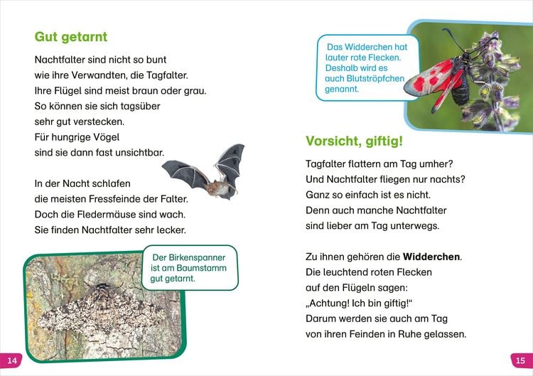Produktbild: WAS IST WAS Erstes Lesen easy! Unsere Schmetterlinge
