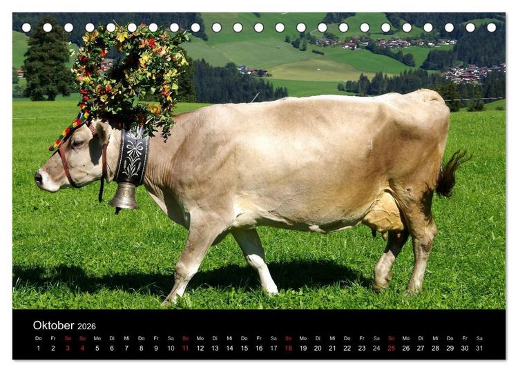 Produktbild: Almabtrieb in Tirol (Tischkalender 2026 DIN A5 quer), CALVENDO Monatskalender