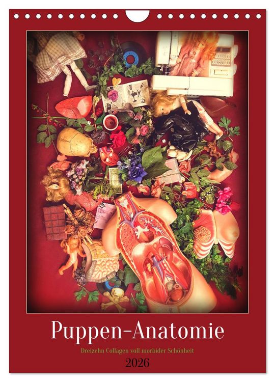 Produktbild: Puppen-Anatomie (Wandkalender 2026 DIN A4 hoch), CALVENDO Monatskalender