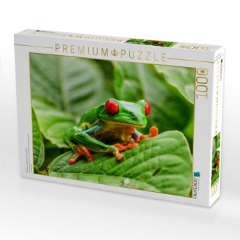 Produktbild: CALVENDO Puzzle Rotaugenlaubfrosch in Costa Rica | 1000 Teile Lege-Gr&ouml;&szlig;e 64x48cm Foto-Puzzle f&uuml;r gl&uuml;ckliche Stunden