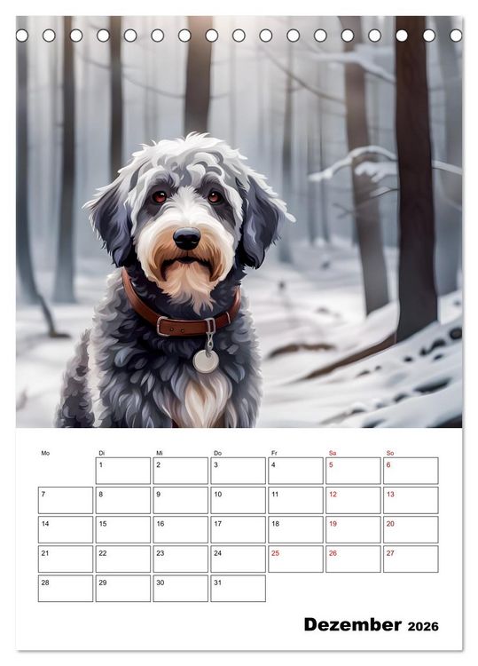 Produktbild: Aussiedoodle - Hunde zum Liebhaben (Tischkalender 2026 DIN A5 hoch), CALVENDO Monatskalender