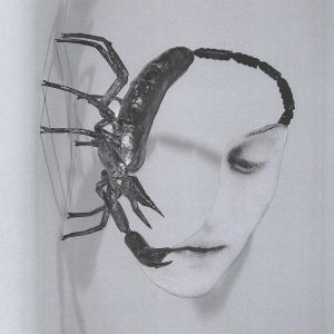 Produktbild: Touch